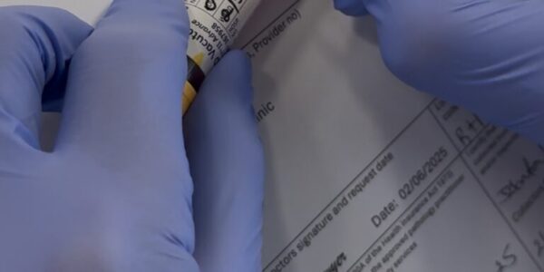 What Is a Phlebotomist?