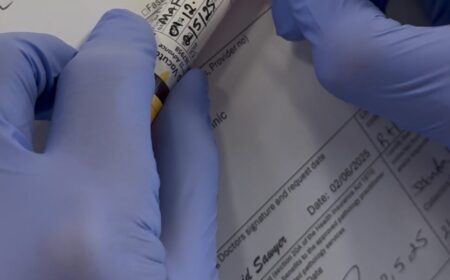 What Is a Phlebotomist?